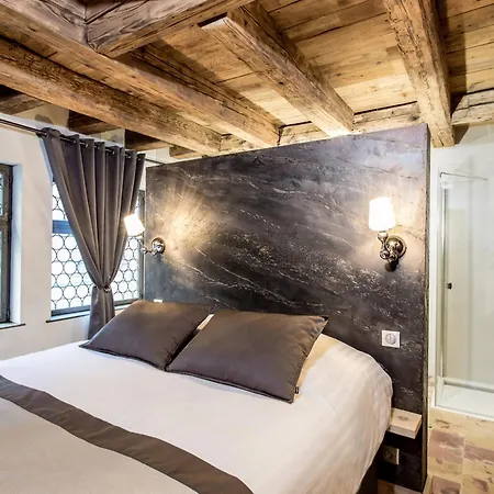 Le 1615 - Luxe Et Apartmán Colmar